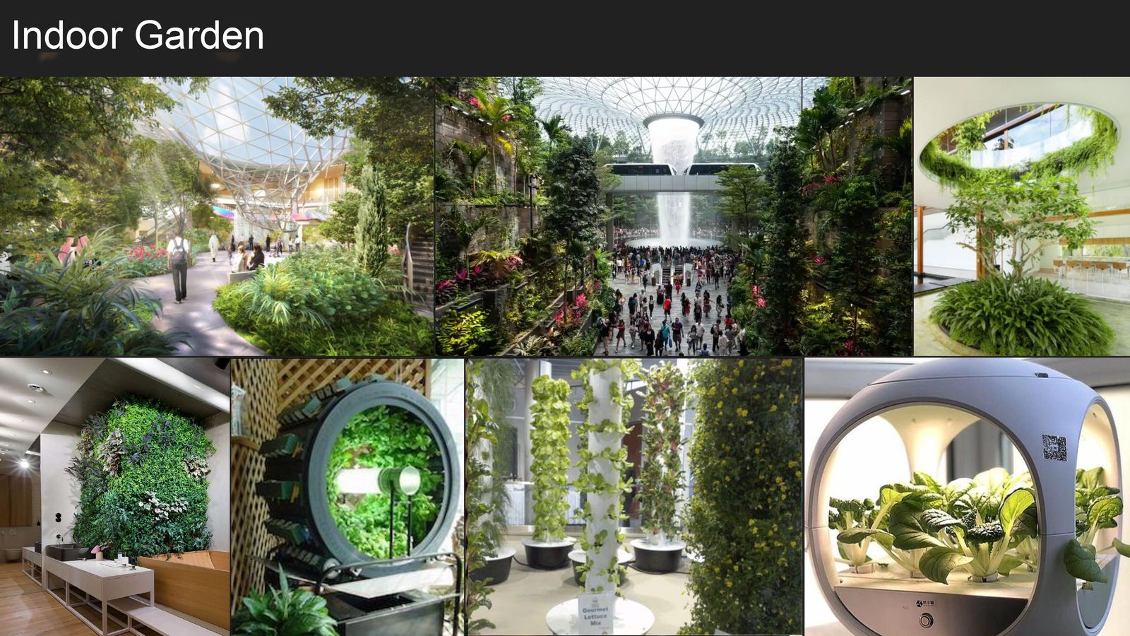 Indoor Garden