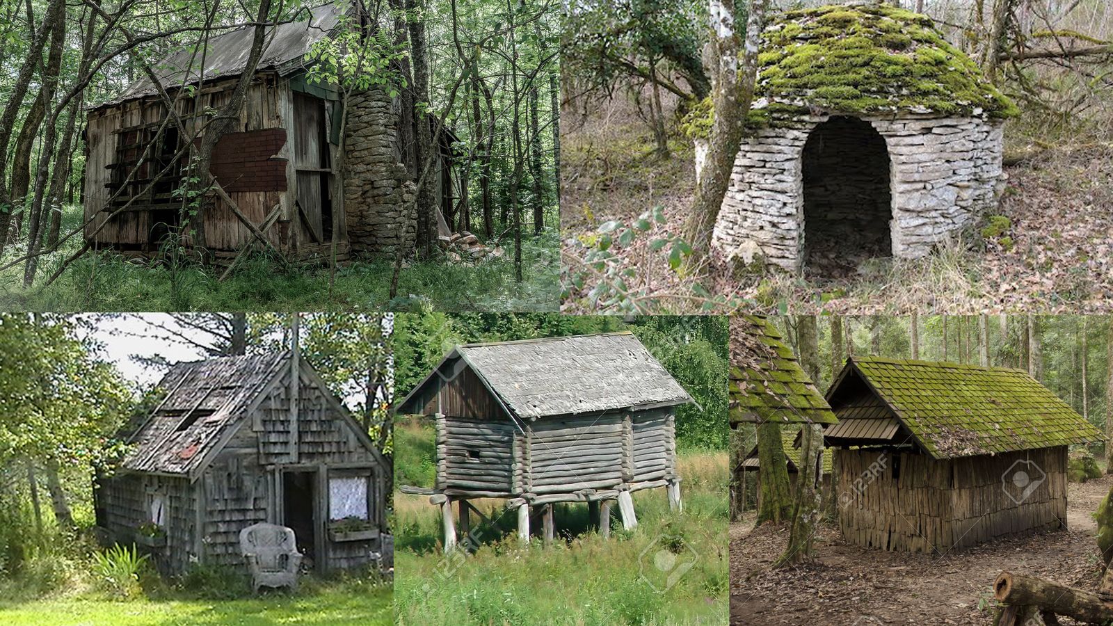Forest structure reference